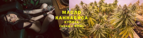 шишки Новодвинск