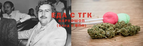 шишки Новодвинск