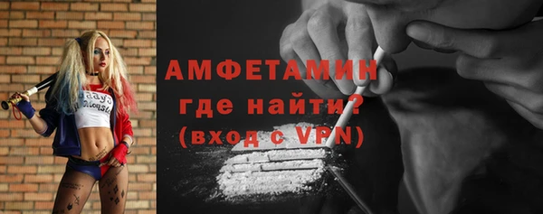 шишки Новодвинск