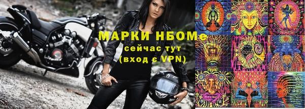 шишки Новодвинск