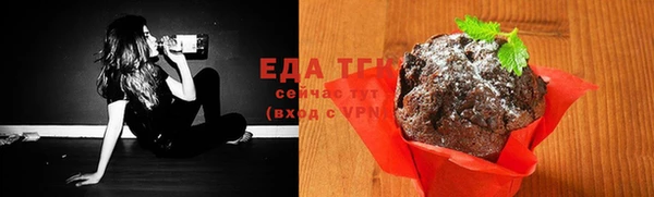 шишки Новодвинск