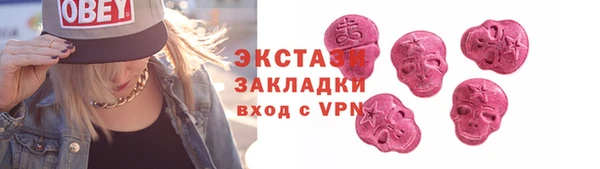 шишки Новодвинск