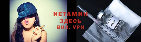 шишки Новодвинск