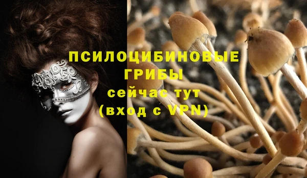шишки Новодвинск