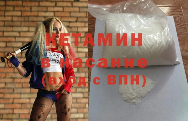 шишки Новодвинск