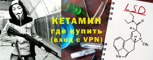 шишки Новодвинск