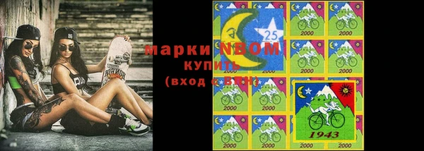 шишки Новодвинск
