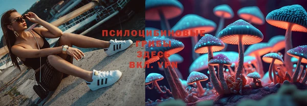 кокаин премиум Новозыбков