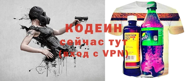 шишки Новодвинск