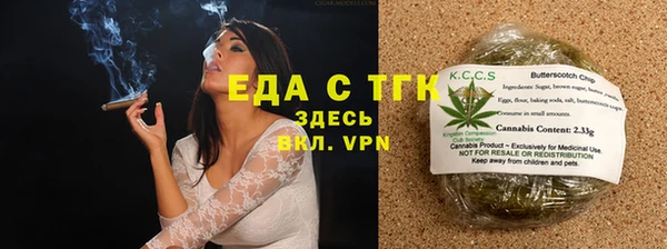 шишки Новодвинск